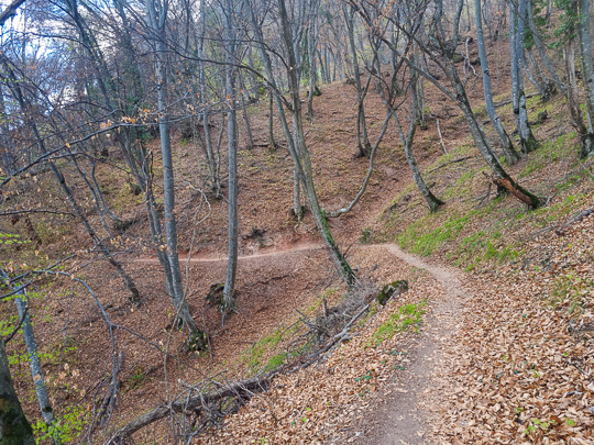 Tour #756 - Tris Trail-Gummererhof-Nüssental