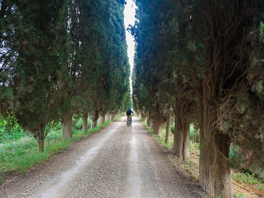 Tour #912 - Follonica - Massa Marittima Gravel