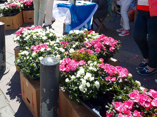 Tour #915 - Bolzano per la Festa della Mamma con il Dona