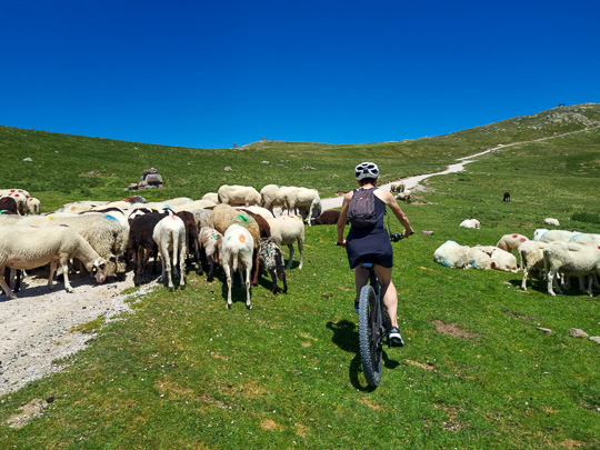 Tour #924 - Soprabolzano - Corno del Renon
