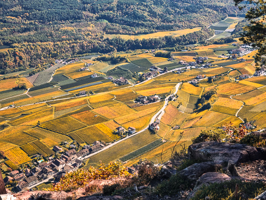 Tour #955 - Esplorando il Monte Ganda-Kofel