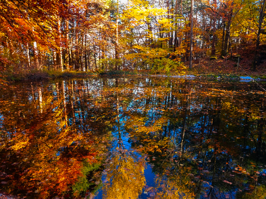 Due panini per due castelli