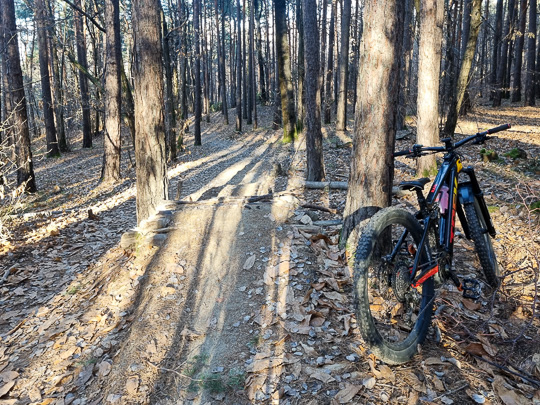 Tour #963 - Giro aperitivo con le ruote in aria