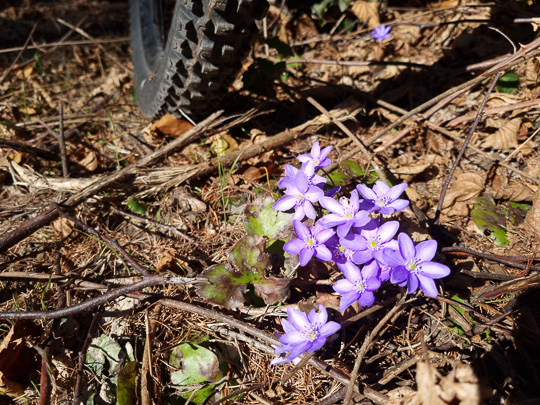 Pausa pranzo sulla chaise longue