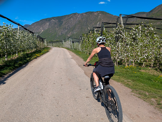 Tour #974 - Gargazzone